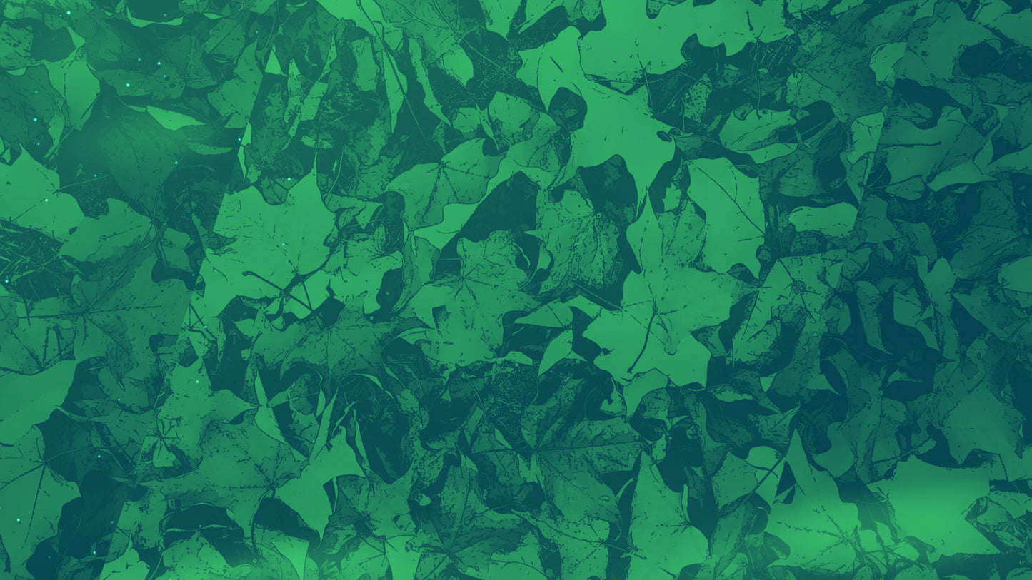 Peaceful Autumn 03 Still