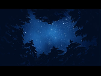 Classic Christmas Night Sky Plain