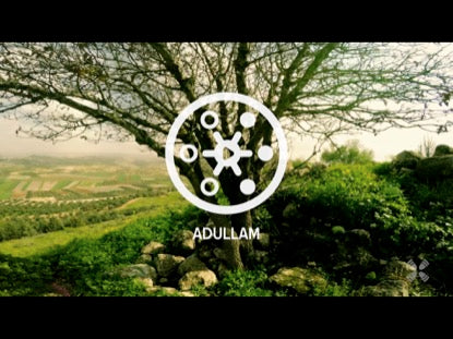 Promised Land Adullam