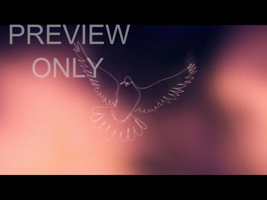 Soaring Still 01
