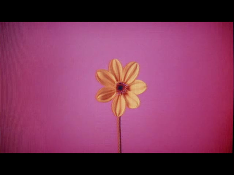 Crt Flowers 2