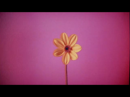 Crt Flowers 2