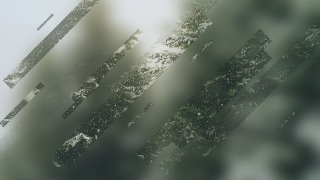 Winter Journey 05