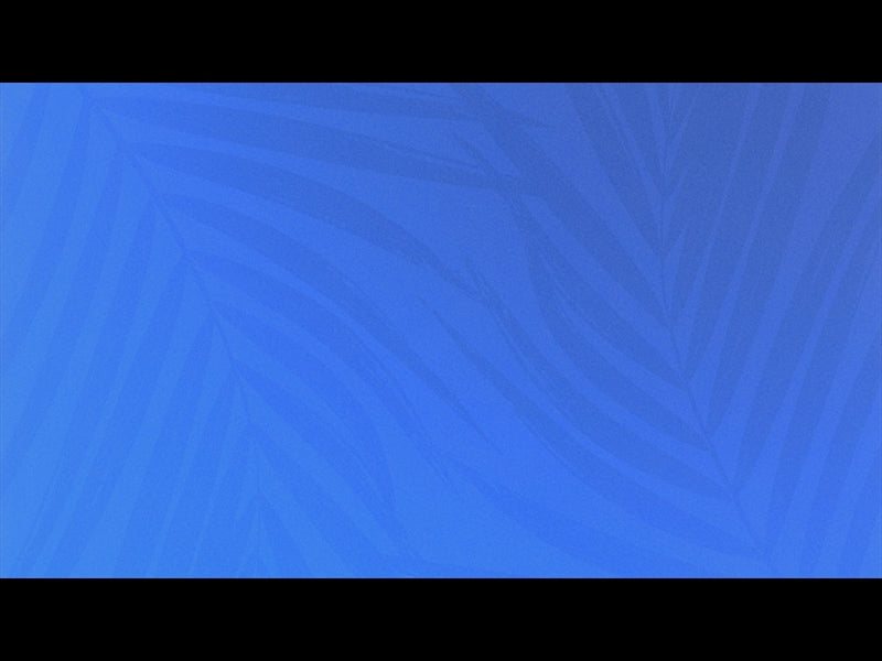 Risen Palms 8