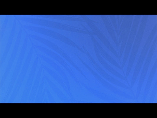 Risen Palms 8