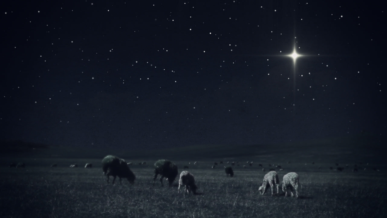 Christmas Night 02 Still