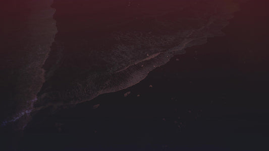 Thanksgiving Vistas Beach