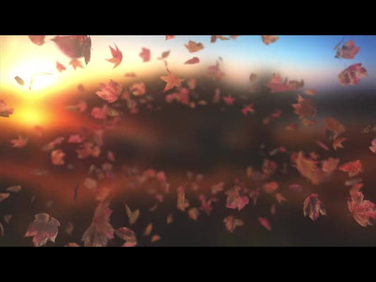 Harvest Leaves Tunnel 02