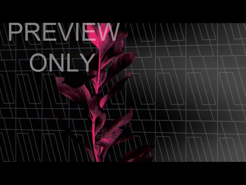 Neon Natro Still 01