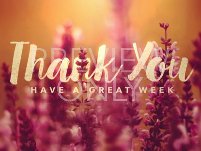 Vibrant Blooms Closing Still