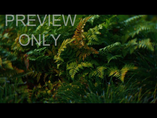 Springs Embrace Still Background 1