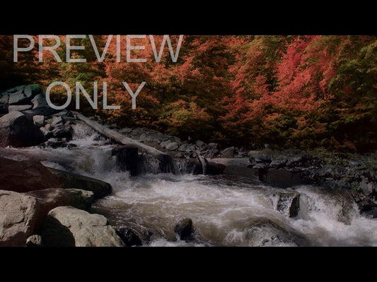Northwest Fall 15 Still