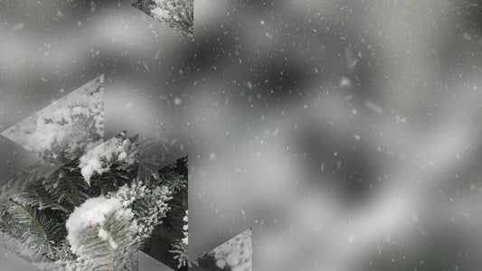 Winter Journey 14 Still