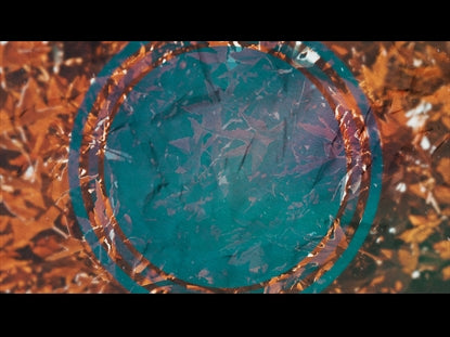 Feelings Of Fall Motion Loop