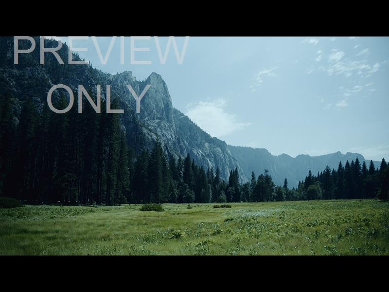 Yosemite Meadows Still - 07