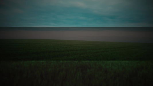 Open Fields Stafe Box