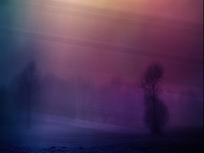 Autumn Mist 5 Motion