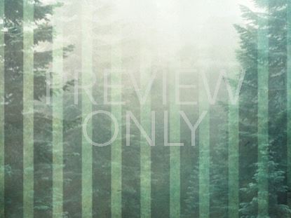 Calming  Green 6 Still