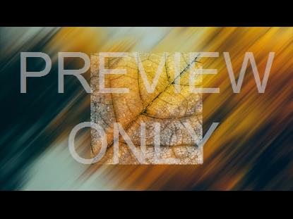 In The Fall 2 Graphic