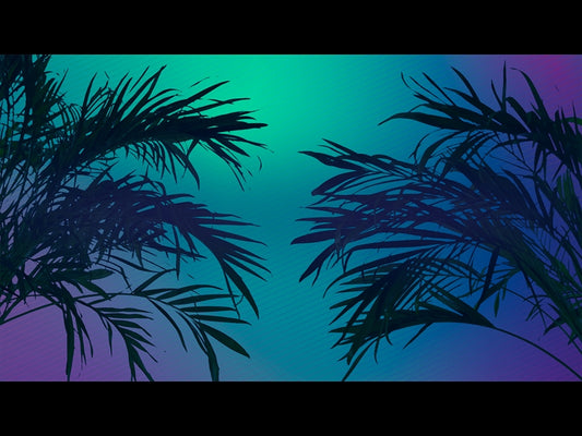 Sun Palms 9