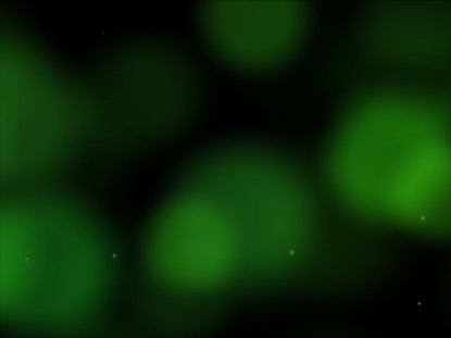 Luminous Green Loop