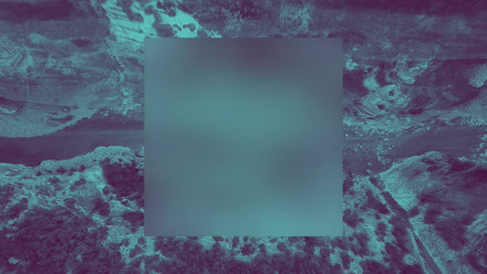 N Z Mashup 10 Alt Still