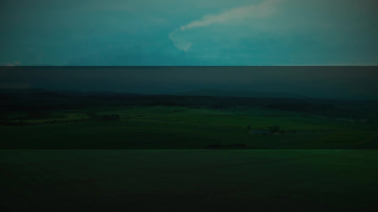 Open Fields Moody Green Box Still
