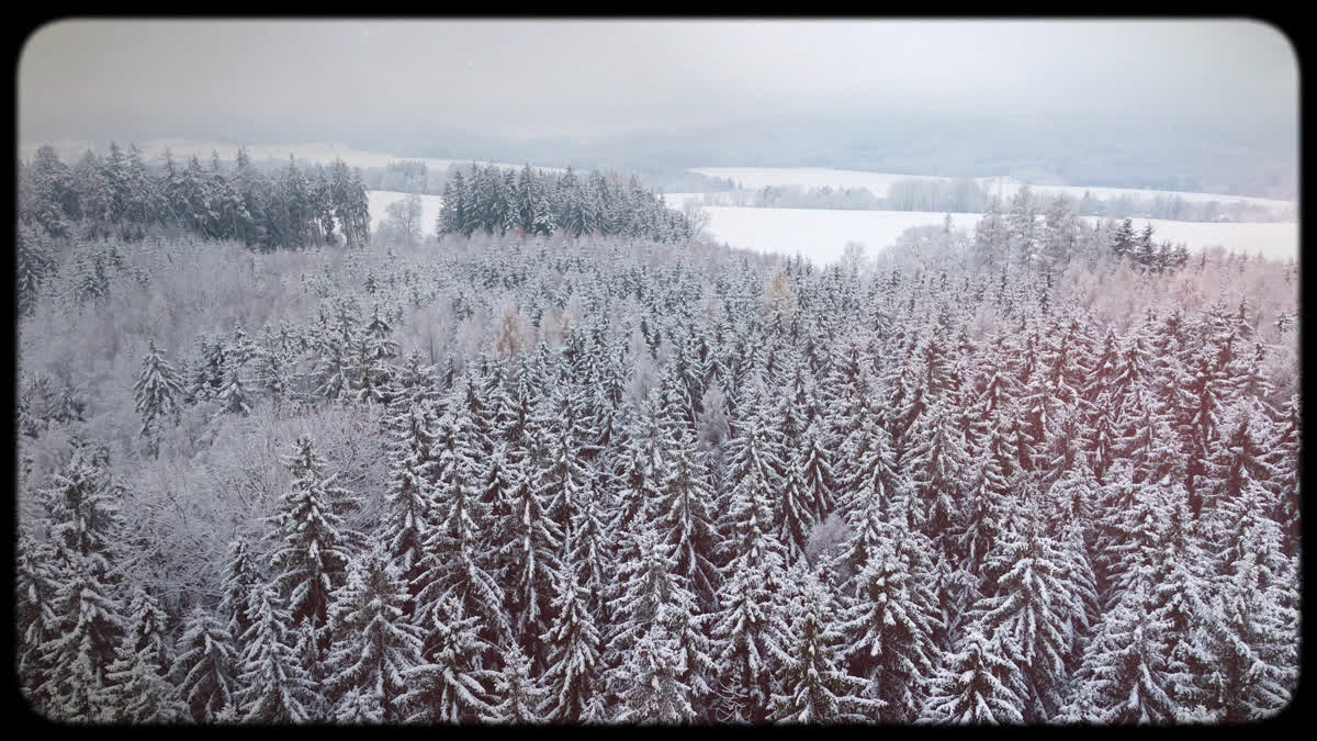 Retro Winter 06