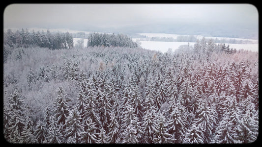 Retro Winter 06