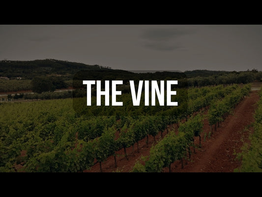 The Vine