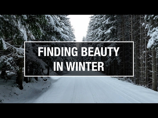 Finding Beauty In Winter