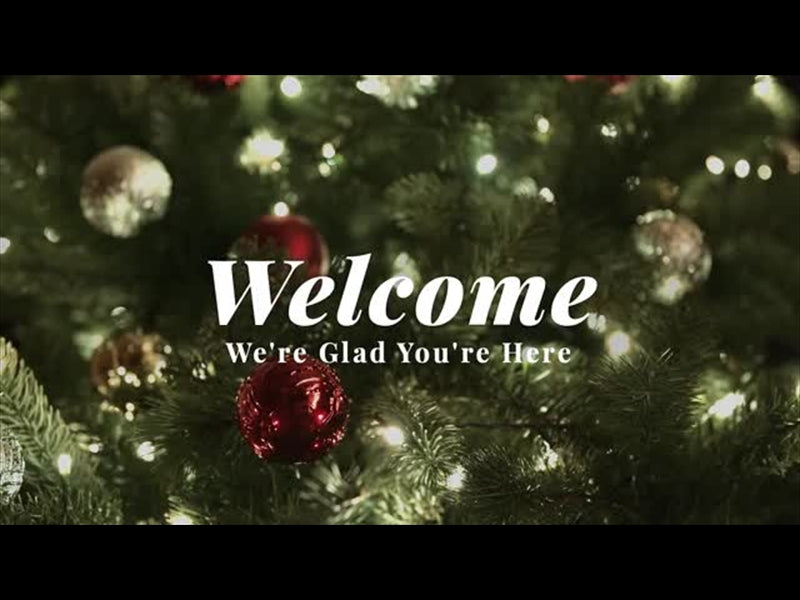 Christmas Lights Ii: We're Glad You're Here