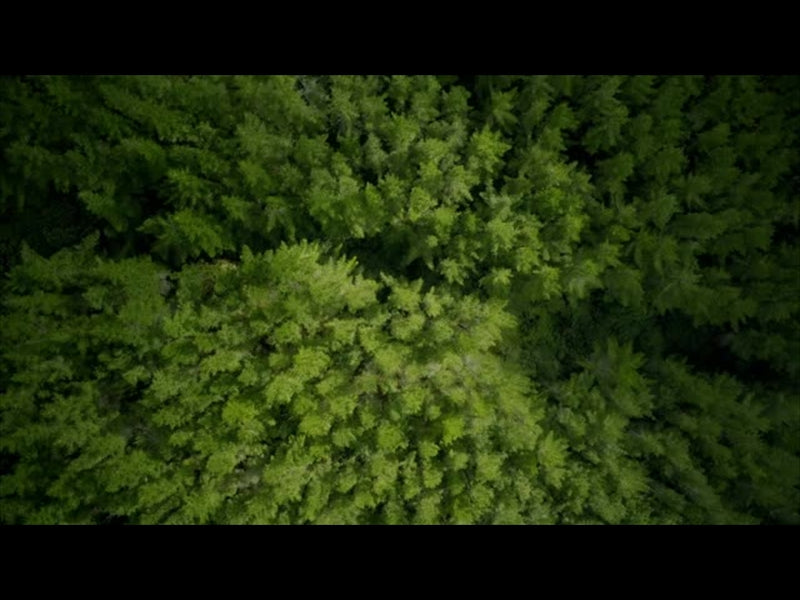 Aerial Bliss 6