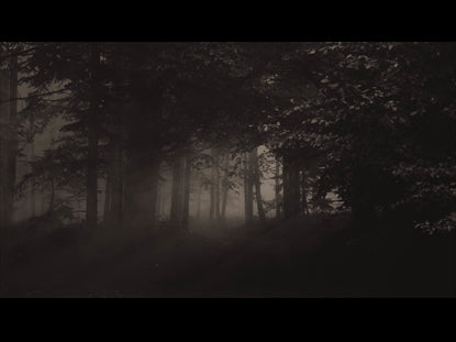 Moody Woods Plain