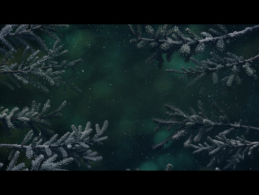 Christmas Wintertide 5