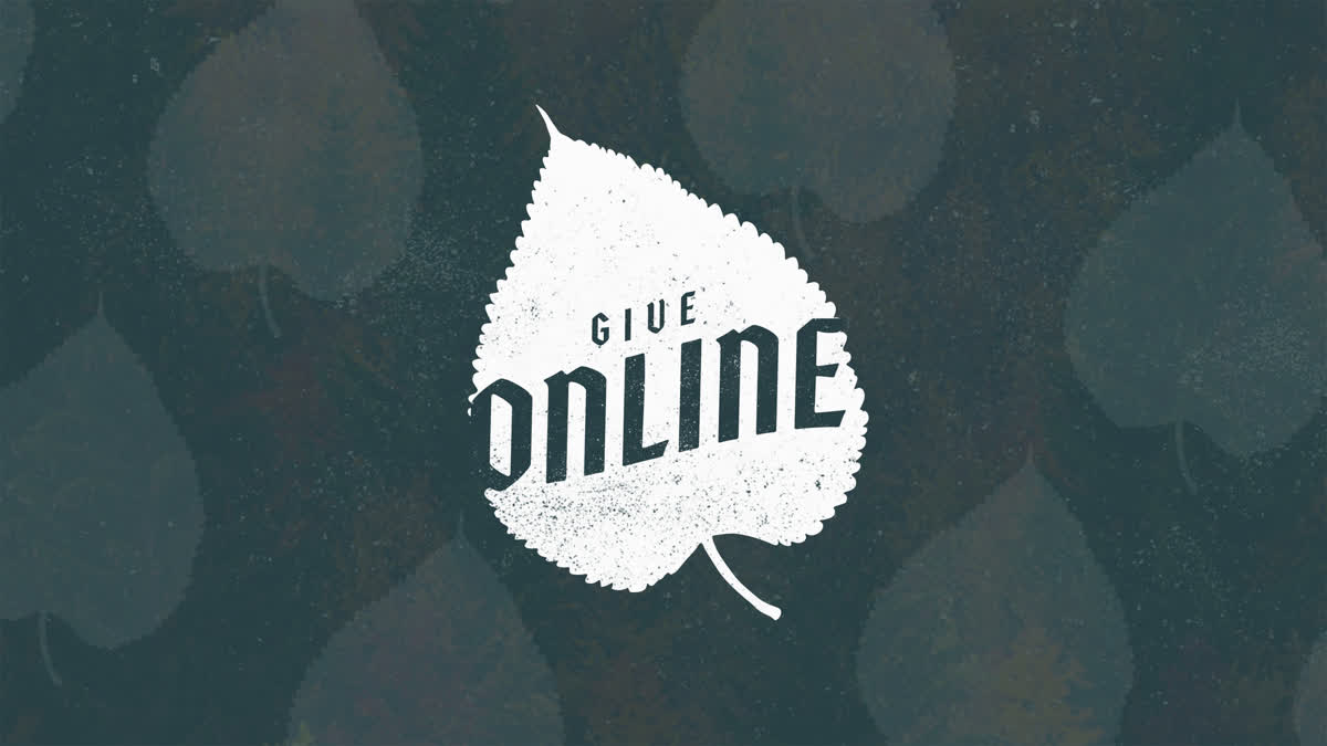 Give Online Title