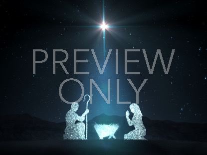 Starlight Nativity 2