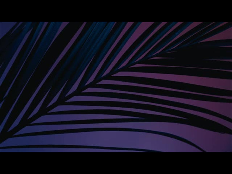 Cinematic Palms Loop 5