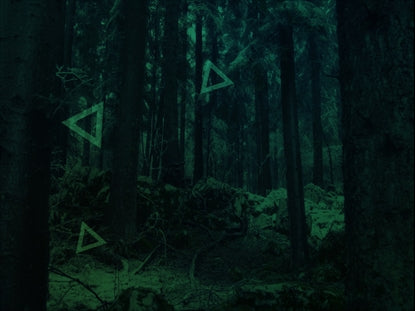 Dark Green Forest