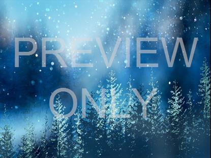 Christmas Woods 2 Still