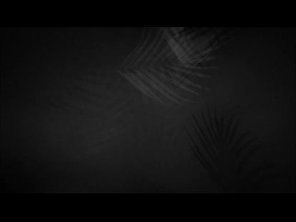 Palm Sunday Collection 14