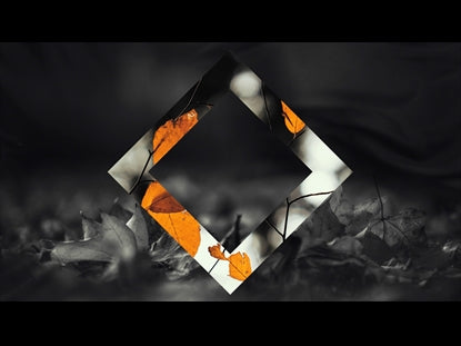 The Shape Of Fall 1
