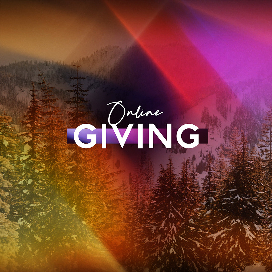 Christmas Light Social Graphic Online Giving