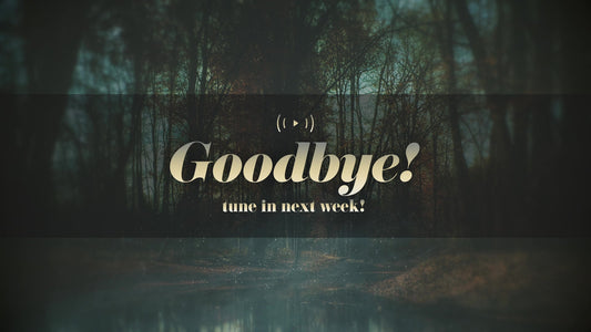 Moody Autumn Exit Stream Still