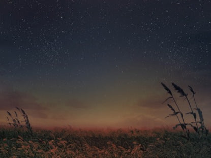 Starry Night Wheat