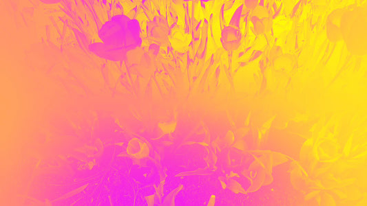 Radiant Gradient Flowers 04