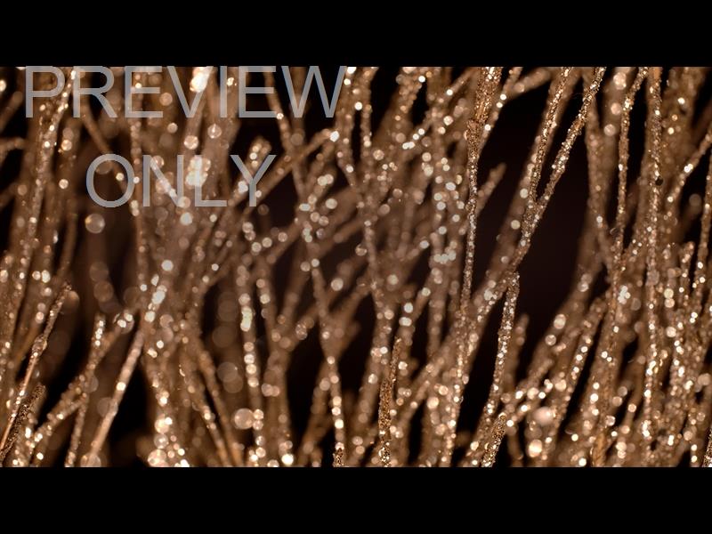 Christmas Gold 7 Still