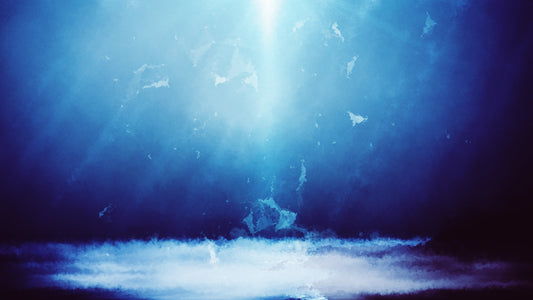 Low Horizons Ocean