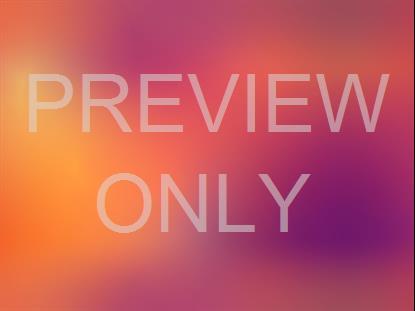 Neon Summer 3 Still