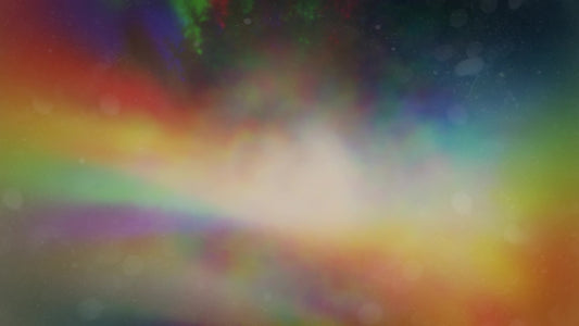 Misty Lent Forest Shift Still